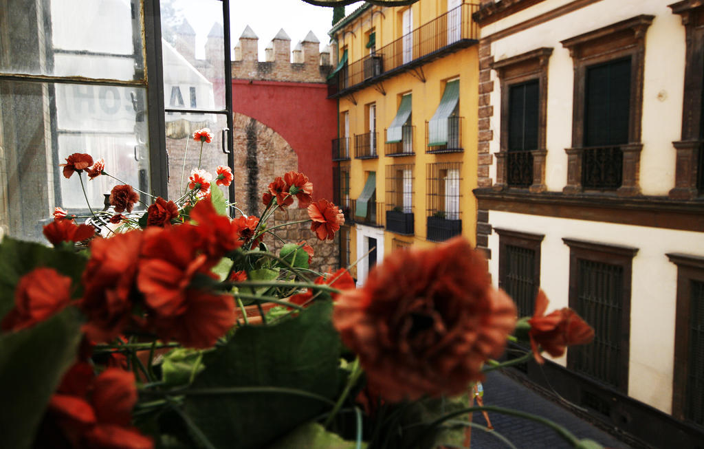Hostal Van Gogh Sevilla Eksteriør bilde